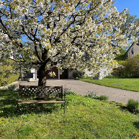 Ferienwohnung Am Kirschbaum 乌尔丁根-米尔霍芬 外观 照片